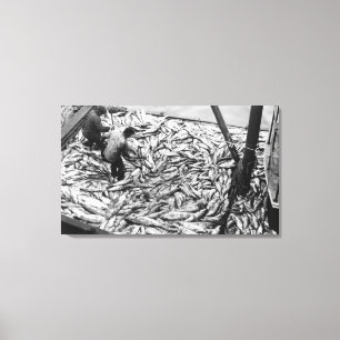 Impressão Em Tela Descarregando salmões da fotografia dos barcos de