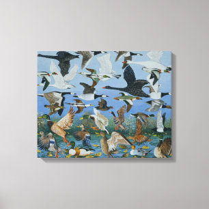 Impressão Em Tela Descolando 1996