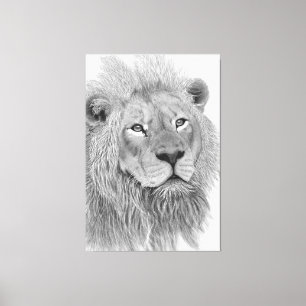 Impressão Em Tela Desenho a lápis de Leão Africano Macho
