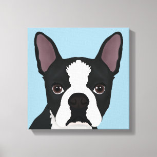 Impressão Em Tela desenho animado boston terrier