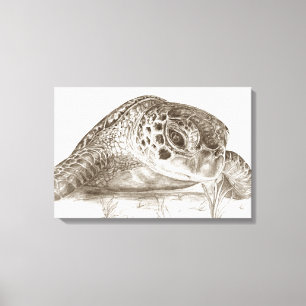 Impressão Em Tela Desenho da tartaruga de mar verde