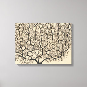 Impressão Em Tela Desenho De Neuron Por Santiago Ramón Y Cajal