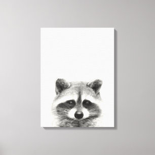 Impressão Em Tela Desenho do Lápis de Raccoon