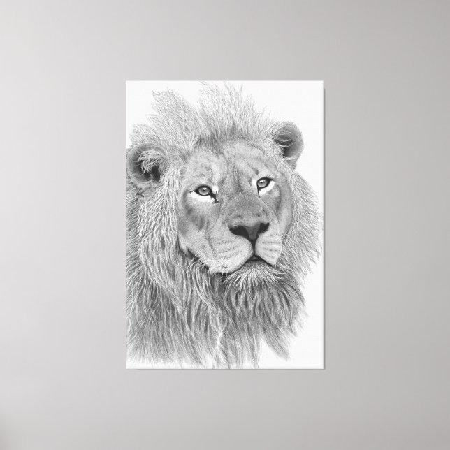 Impressão Em Tela Desenho do Lion Africano Masculino (Frente)