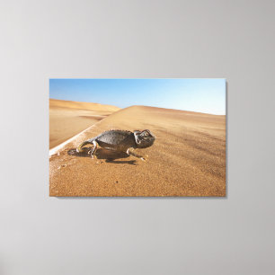 Impressão Em Tela Desertos   Namaqua Chameleon no Deserto