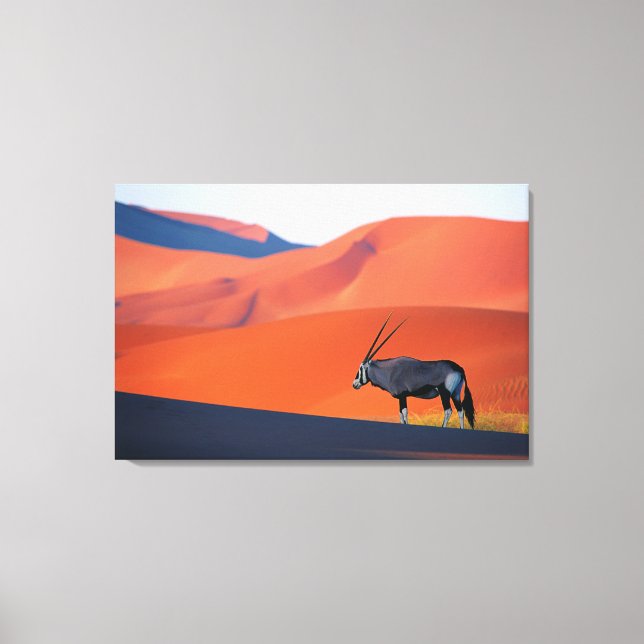 Impressão Em Tela Desertos | Namib Desert Oryx (Frente)