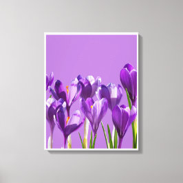 Impressão Em Tela Despertar do Crocus Roxo