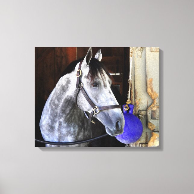 Impressão Em Tela Destino (Frente)