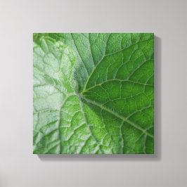 Impressão Em Tela Detalhe de Vein de Folha Verde