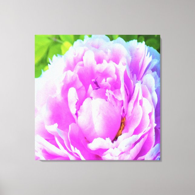 Impressão Em Tela Detalhe impressionante da Flor de Peony Rosa Dupla (Frente)