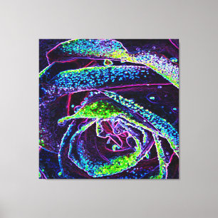 Impressão Em Tela Detalhes do Rosa verde e azul preto gráfico