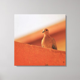 Impressão Em Tela Determinação