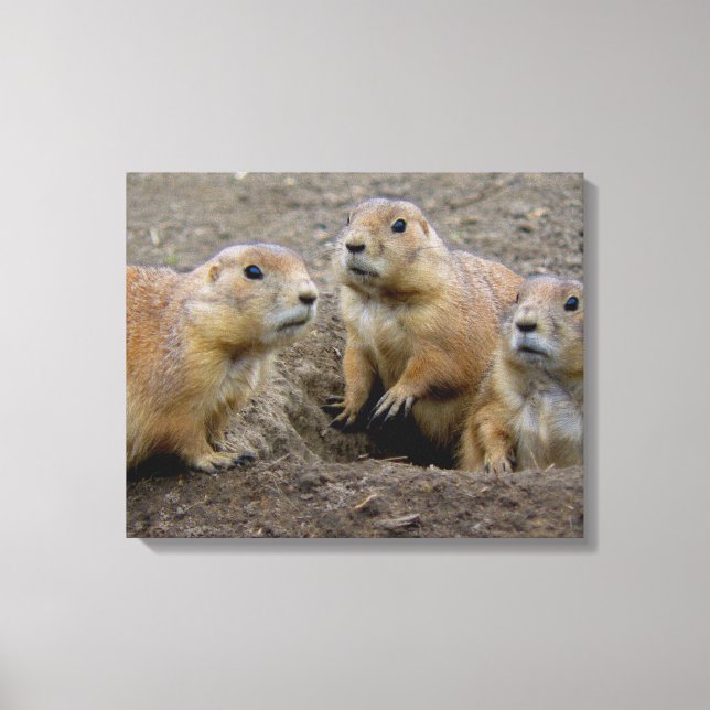 Impressão Em Tela Dia do Groundhog (Frente)