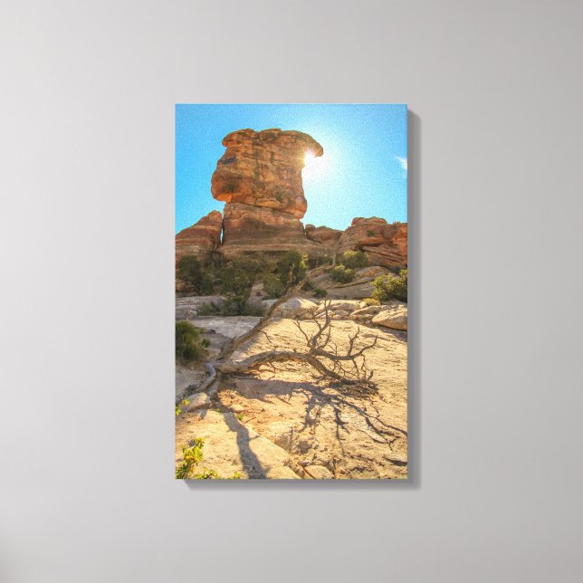 Impressão Em Tela Dia do Parque Nacional (Frente)