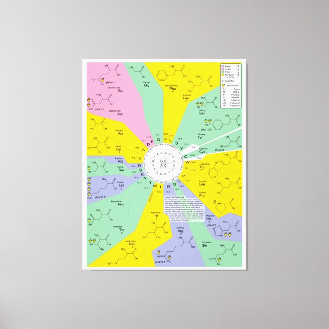 Impressão Em Tela Diagrama De Código Genético Que Mostra Os Resíduos (Frente)