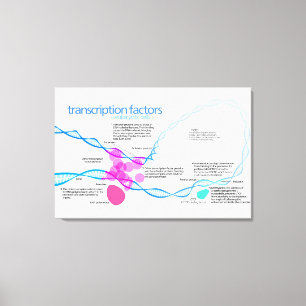 Impressão Em Tela Diagrama de Fatores de Transcrição de Genes Celula
