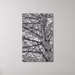 Impressão Em Tela Direção de Pinheiros