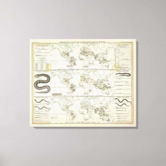 Impressão Em Tela Distribuições de cobra (Frente)