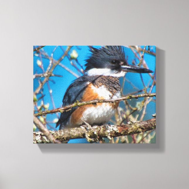 Impressão em tela do pássaro selvagem Kingfisher (Frente)
