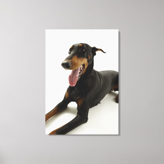 Impressão Em Tela Doberman Pinscher 2 (Frente)
