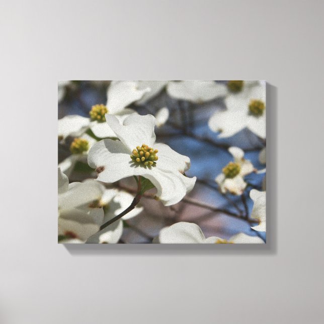 Impressão Em Tela Dogwood in Bloom (Frente)