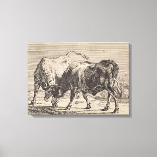Impressão Em Tela Dois Bulls de Combate (por Paulus Potter)