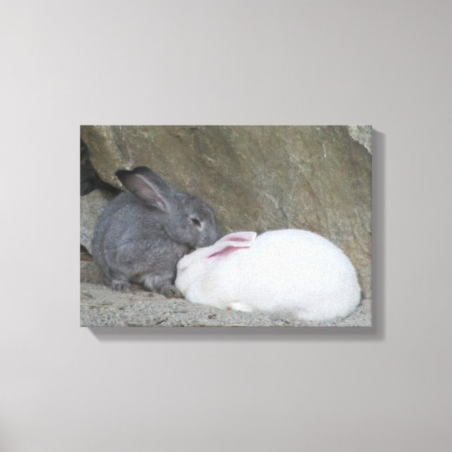 Impressão Em Tela Dois Coelhinhos Bonitinhos (Frente)