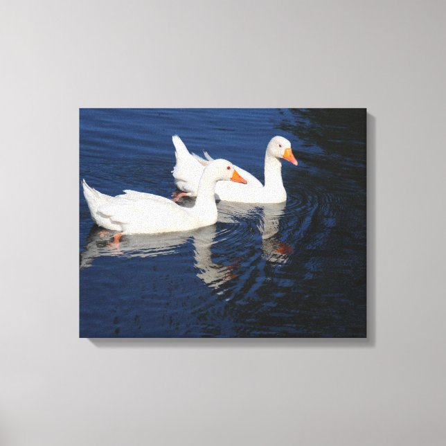 Impressão Em Tela Dois Emden Geese (Frente)