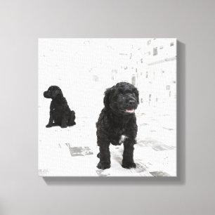 Impressão Em Tela Dois filhotes de cachorro portugueses do cão de
