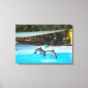 Impressão Em Tela Dois golfinhos