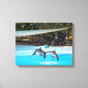 Impressão Em Tela Dois golfinhos animal