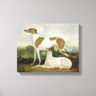 Impressão Em Tela Dois Greyhounds em uma paisagem (óleo na canvas)