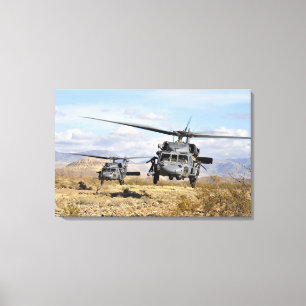 Impressão Em Tela Dois helicópteros de HH-60 Pavehawk que