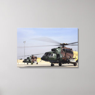 Impressão Em Tela Dois helicópteros iraquianos do quadril Mi-17