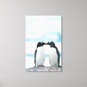 Impressão Em Tela Dois pinguins que tocam nos bicos