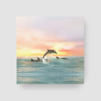 Dolphin Tropical Sunset | Costeira de Aquarela