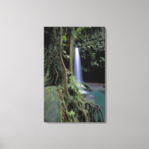 Impressão Em Tela Dominica, Lago Esmeralda, Cachoeira.