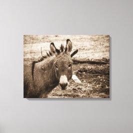 Impressão Em Tela Donkey