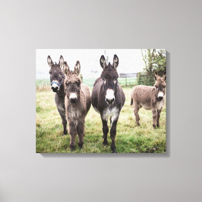 Impressão Em Tela Donkeys (Frente)