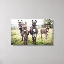 Impressão Em Tela Donkeys