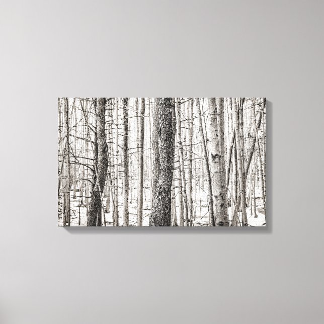 Impressão Em Tela Douglas Woods (Frente)