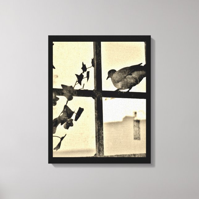 Impressão Em Tela Dove Resting (Frente)