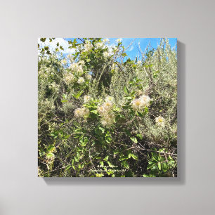 Impressão Em Tela Dr. Seuss Flowers