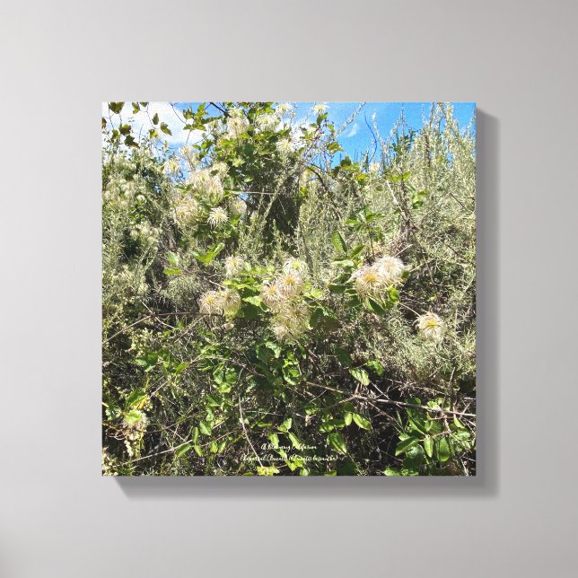 Impressão Em Tela Dr. Seuss Flowers (Frente)