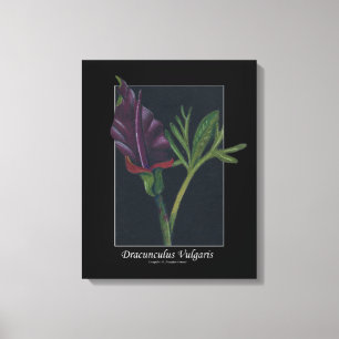 Impressão Em Tela Dracunculus Vulgaris primavera verde-vermelho