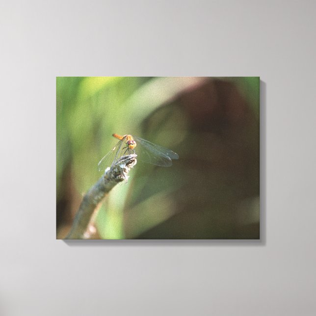 Impressão Em Tela Dragonfly (Frente)