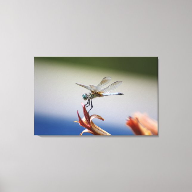 Impressão Em Tela Dragonfly Fechar Fotografia Wall Art (Frente)
