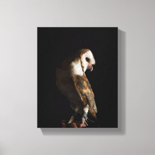 Impressão Em Tela Dramatic Barn Owl Portrait in the Dark
