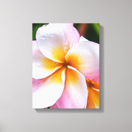 Impressão Em Tela Dream Palette: franjipani flower