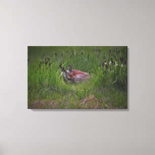 Impressão Em Tela Dreamland